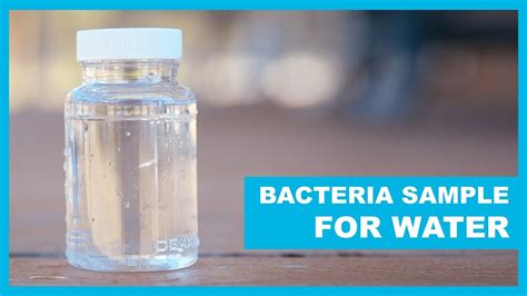 bottled water is never tested for bacteria before distribution|bottled water contamination.